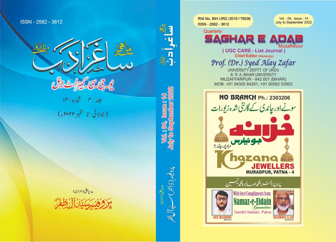 Cover of Volume 4 Issue 13