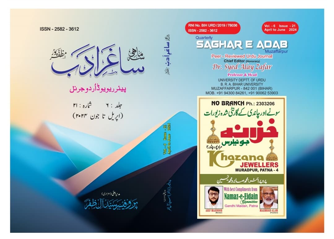Cover of Volume 6 Issue 20